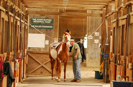 12 x 12 Stalls