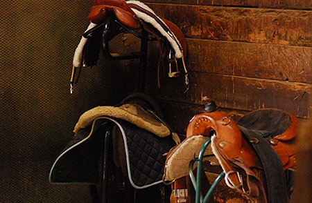 Western and English Riding Lessons