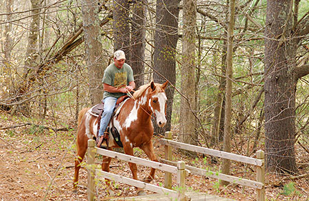 Wooded Trails