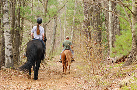 Wooded Trails